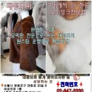 목포세탁백화점 이미지