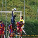 수원-2010 이미지