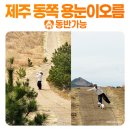 용눈이오름 주차장 | 여기가 우리나라 맞아? 걷기 좋은 제주 동쪽 용눈이오름 애견동반 후기