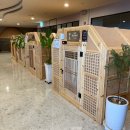 김포 스프링 스파 이미지