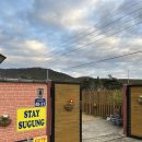 스테이 수궁 이미지