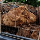 선임농장 이미지