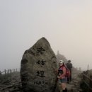 20260724~25 지리산 성삼재-노고단-반야봉-삼도봉-노고단 이미지