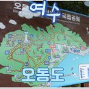 엑스포대로,오동도로 | 여수 오동도, 오동도 동백열차 타고 들어가 등대까지 걸어본 코스 후기