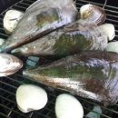 힐마레 이미지