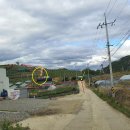 풍차언덕 이미지