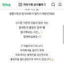 성산천 이미지