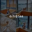 슈가몽 544 | [슈가몽544]여수 애견동반 독채펜션 / 애견동반여행 / 여수 당일치기!?