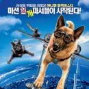 캣츠앤독스 이미지