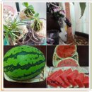 순희네농장 이미지