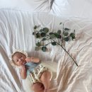 멜로우 멘션 이미지