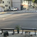 어센딩커피웨이브 | [제기동/고려대역] 레트로한 매력의 힙한 애견동반 카페 어센딩 커피 웨이브 솔직후기
