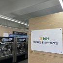 간성빨래방