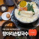 아지매손칼국수식당 | 청평역맛집 항아리 손 칼국수 애견동반식당 닭반마리 후기