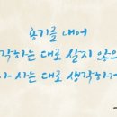 화랑태권도 이미지