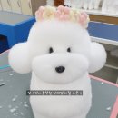 그랜드 애견 미용 이미지