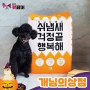 개님의상점 이미지