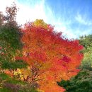 밀양댐문화관 이미지