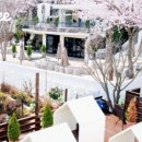 오렌지 애견카페 이미지