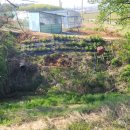 재동농장 이미지