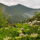 농부의 정원 이미지