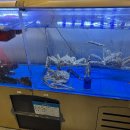 여의대방로67길 | 여의도 샛강역 한우 룸 회식 모임 추천 소울한우 솔직후기