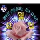 싱그러운아침