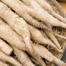 산속장어 이미지