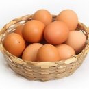 다온오리 이미지