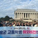 비전아이비