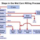 한중농장 | 단백피에 대한 공정과정 비육우, 번식우, 티엠알공장 활용도