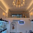 창원고양이분양 퍼스트캣 창원점 이미지