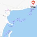 레인보우풀빌라C