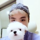 사랑의 동물병원 이미지