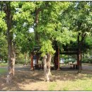 성서산업단지체육시설내다목적체육관 이미지