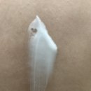 꼬망 | 두리코스 꼬망풀잎 아토 베이비 로션 &amp; 크림 사용 후기