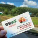 동선농장 | 서산 태안 별빛복숭아농장🍑 방문 직거래 후기 내돈내산
