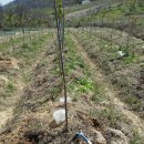 소소농장 이미지