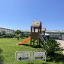 몽키바나나 - 김포시 김포한강9로 95 | 제주 아이와 가볼만한곳 추천! 스위트몽키 바나나따기 체험 후기