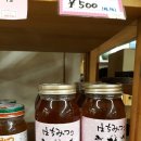 일본의 꿀 : 백화밀과 가당봉밀 가격 이미지