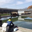 보물섬낚시터 이미지