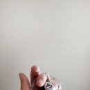 자연건강드림 이미지