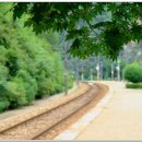 승부역가는길 이미지