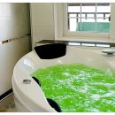 까치와 산토리나 이미지