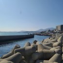 월내물양장 이미지