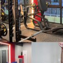 바디모어핏 이미지