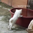 사주세요 티스토리