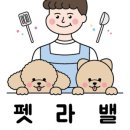 펫라밸 네이버블로그