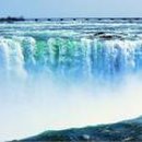 서교치과의원 이미지