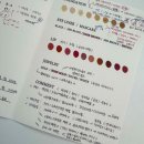 나만의 퍼스널컬러를 찾아서 이미지